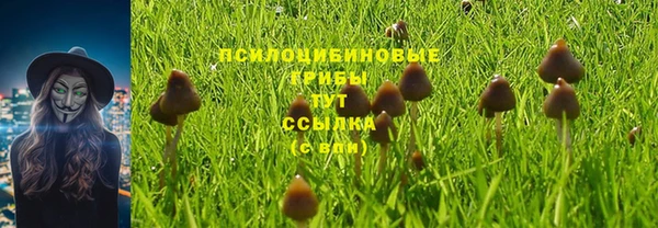 индика Нефтегорск