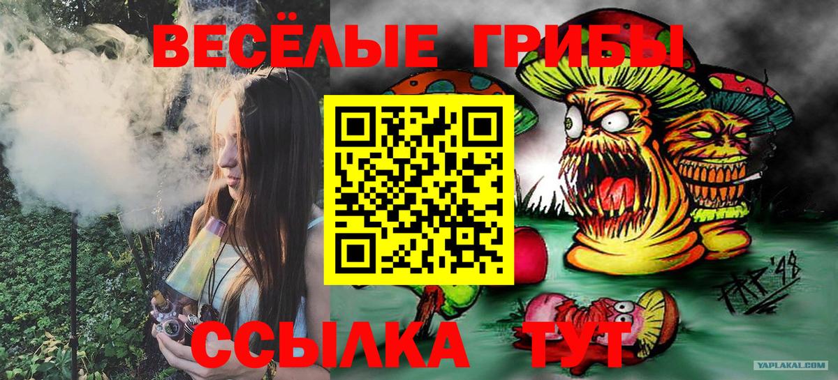 Псилоцибиновые грибы GOLDEN TEACHER Екатеринбург