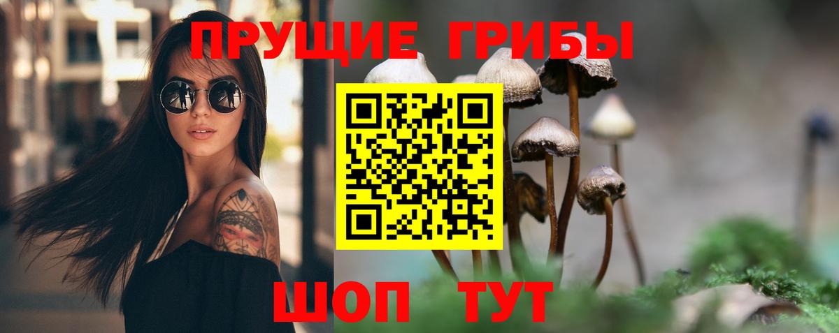Псилоцибиновые грибы Magic Shrooms Екатеринбург